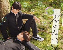 网站优化包括三个方面